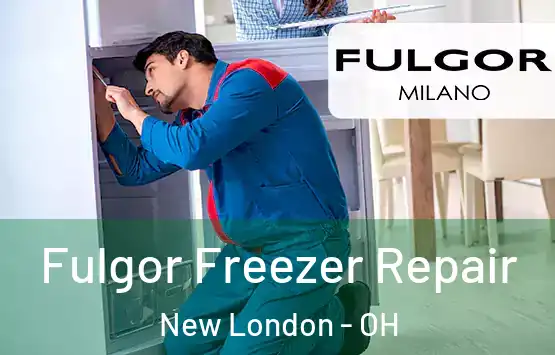  Fulgor Freezer Repair New London - OH