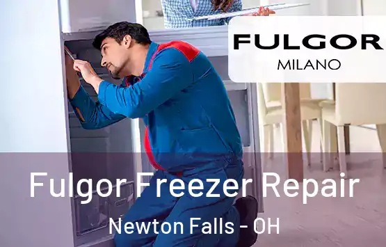  Fulgor Freezer Repair Newton Falls - OH
