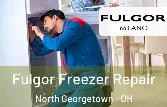 Fulgor Freezer Repair North Georgetown - OH
