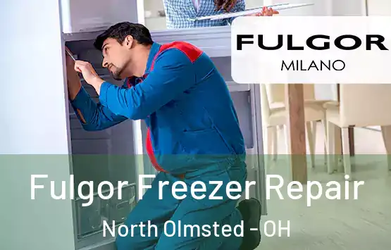  Fulgor Freezer Repair North Olmsted - OH
