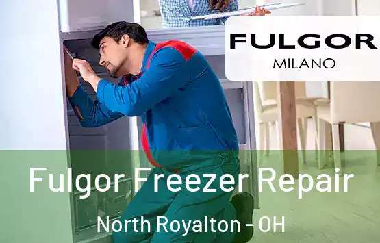 Fulgor Freezer Repair North Royalton - OH
