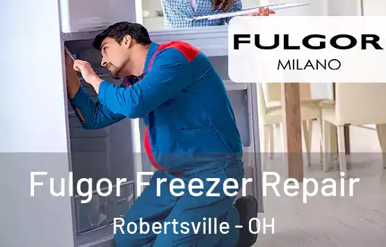  Fulgor Freezer Repair Robertsville - OH