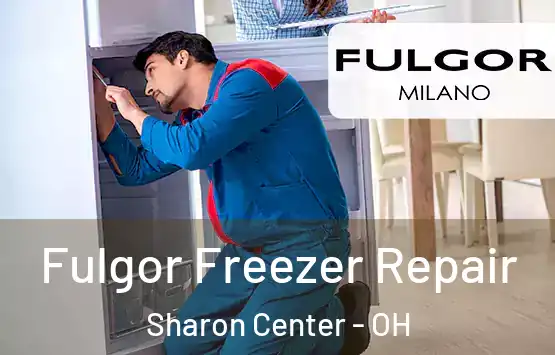  Fulgor Freezer Repair Sharon Center - OH