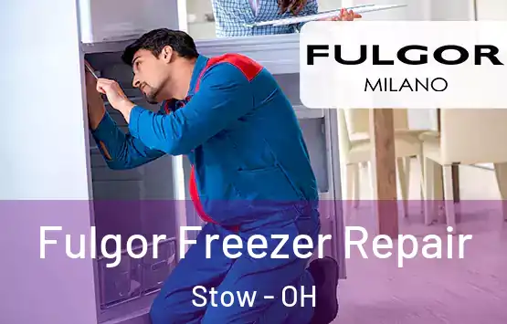  Fulgor Freezer Repair Stow - OH