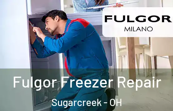  Fulgor Freezer Repair Sugarcreek - OH