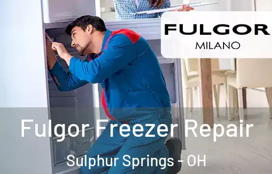  Fulgor Freezer Repair Sulphur Springs - OH