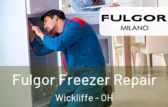  Fulgor Freezer Repair Wickliffe - OH