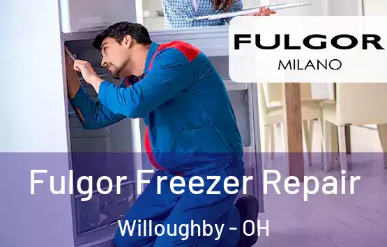  Fulgor Freezer Repair Willoughby - OH