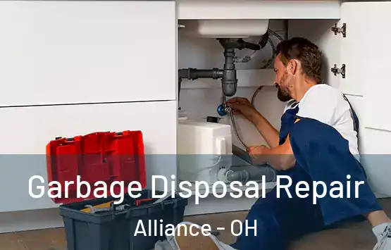  Garbage Disposal Repair Alliance - OH