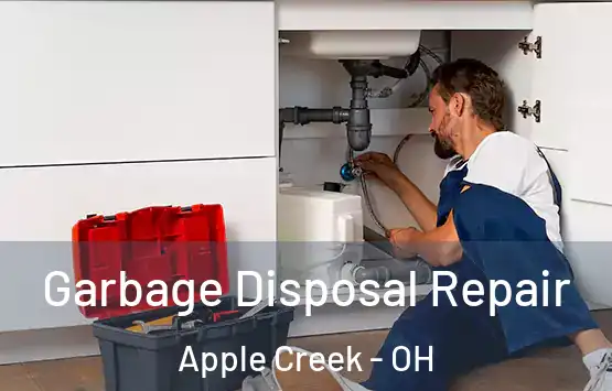  Garbage Disposal Repair Apple Creek - OH