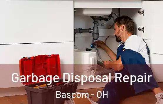  Garbage Disposal Repair Bascom - OH