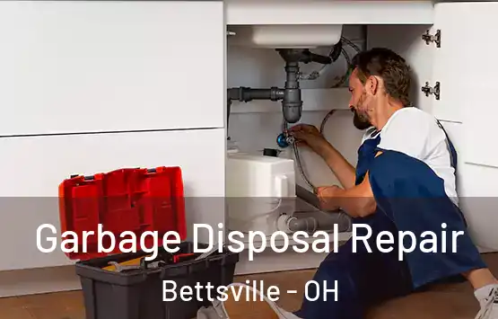  Garbage Disposal Repair Bettsville - OH