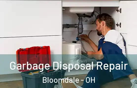  Garbage Disposal Repair Bloomdale - OH