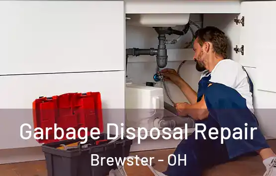  Garbage Disposal Repair Brewster - OH