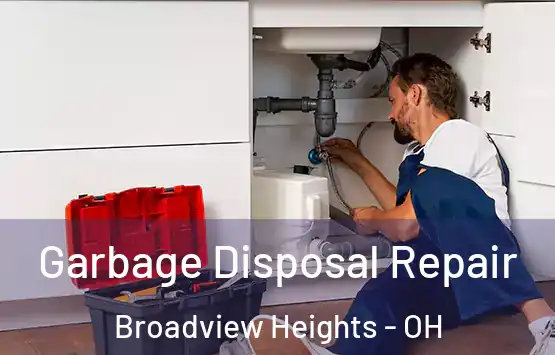  Garbage Disposal Repair Broadview Heights - OH
