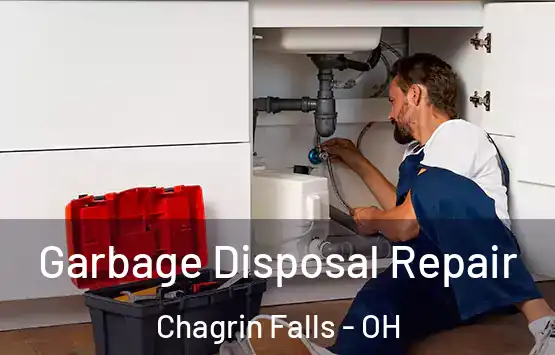  Garbage Disposal Repair Chagrin Falls - OH