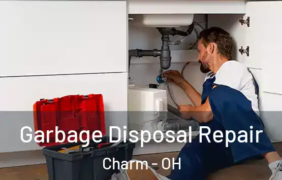  Garbage Disposal Repair Charm - OH