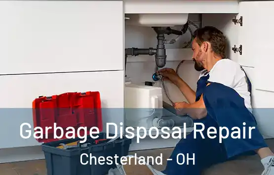  Garbage Disposal Repair Chesterland - OH