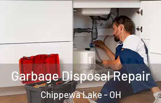  Garbage Disposal Repair Chippewa Lake - OH