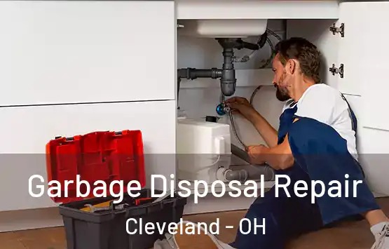  Garbage Disposal Repair Cleveland - OH