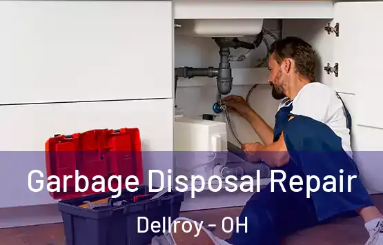  Garbage Disposal Repair Dellroy - OH