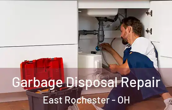  Garbage Disposal Repair East Rochester - OH