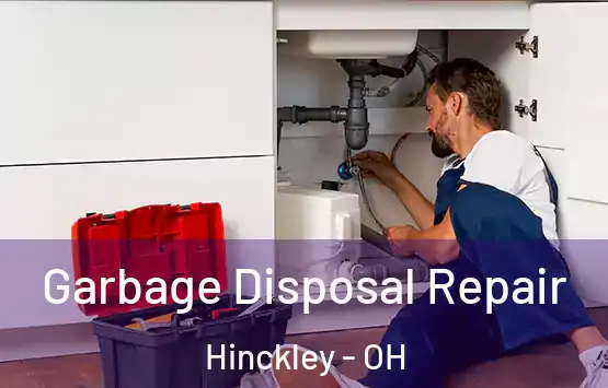  Garbage Disposal Repair Hinckley - OH