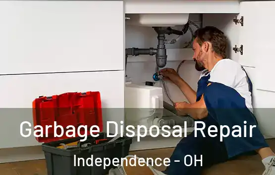  Garbage Disposal Repair Independence - OH