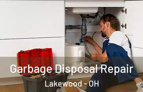  Garbage Disposal Repair Lakewood - OH