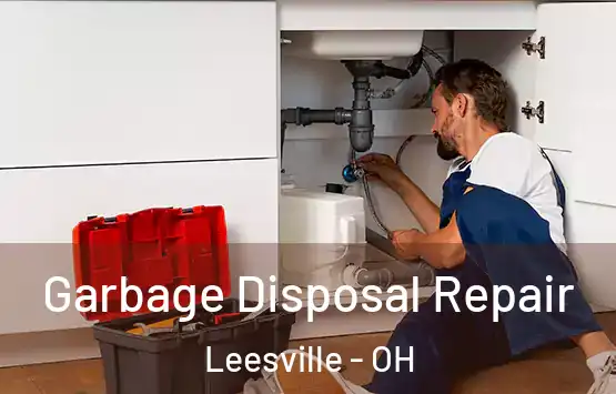  Garbage Disposal Repair Leesville - OH