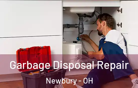  Garbage Disposal Repair Newbury - OH