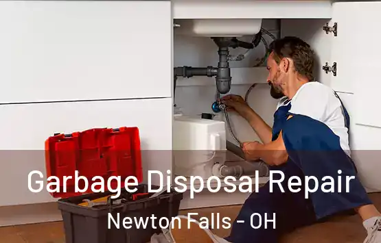  Garbage Disposal Repair Newton Falls - OH