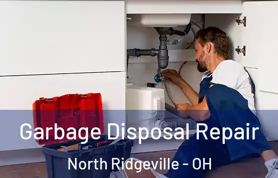  Garbage Disposal Repair North Ridgeville - OH