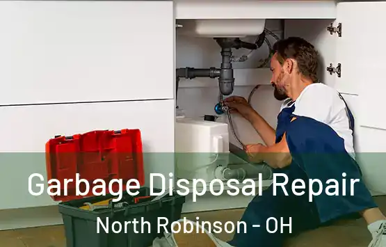  Garbage Disposal Repair North Robinson - OH