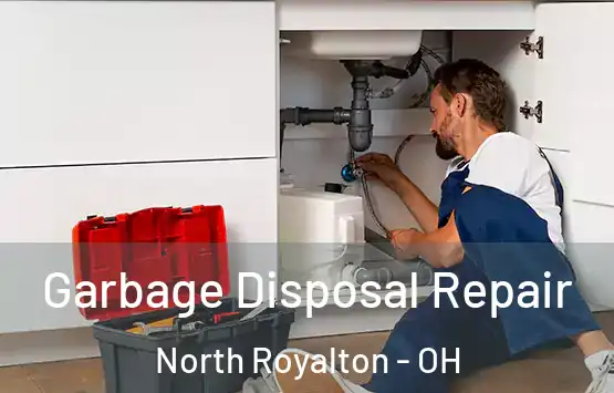  Garbage Disposal Repair North Royalton - OH
