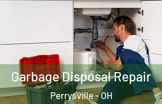  Garbage Disposal Repair Perrysville - OH
