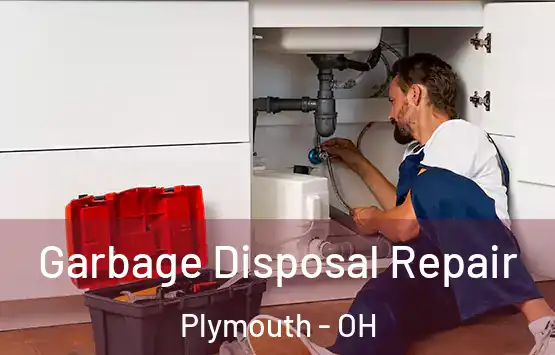  Garbage Disposal Repair Plymouth - OH