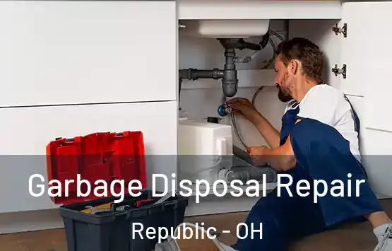  Garbage Disposal Repair Republic - OH
