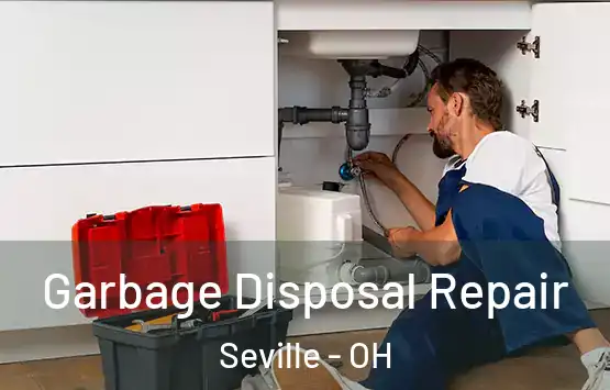  Garbage Disposal Repair Seville - OH