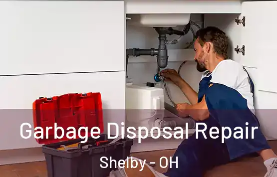  Garbage Disposal Repair Shelby - OH
