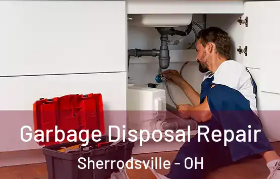  Garbage Disposal Repair Sherrodsville - OH