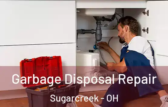  Garbage Disposal Repair Sugarcreek - OH