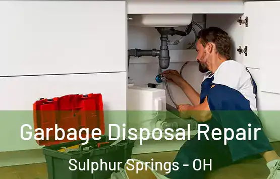  Garbage Disposal Repair Sulphur Springs - OH