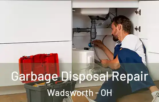  Garbage Disposal Repair Wadsworth - OH