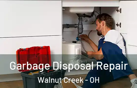  Garbage Disposal Repair Walnut Creek - OH
