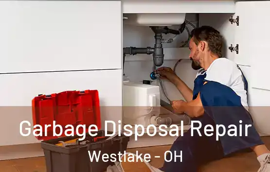  Garbage Disposal Repair Westlake - OH