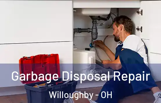  Garbage Disposal Repair Willoughby - OH