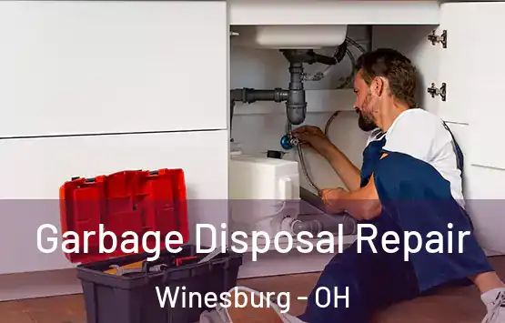  Garbage Disposal Repair Winesburg - OH