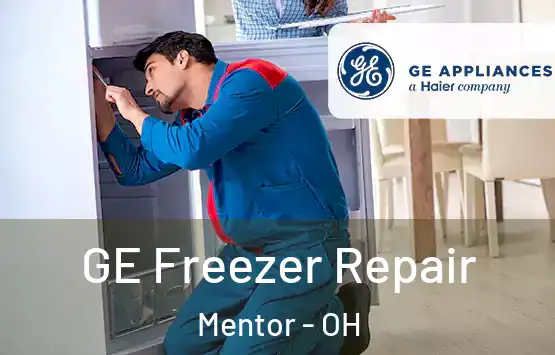  GE Freezer Repair Mentor - OH