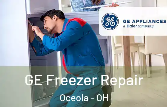  GE Freezer Repair Oceola - OH